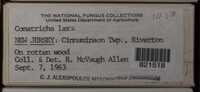 Image Associated With the Occurence